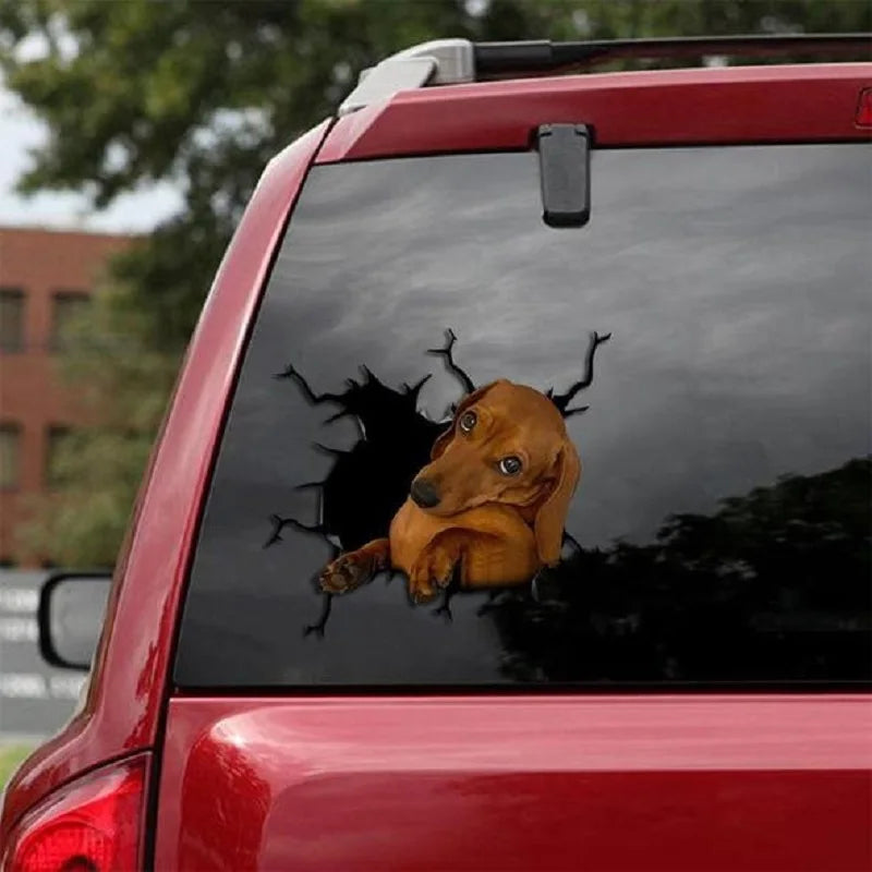 Funny Dog Windshield Stickers On Car Glass Camping Auto Decals Vehicle Exterior Window Decoration Girly Personalized Waterproof