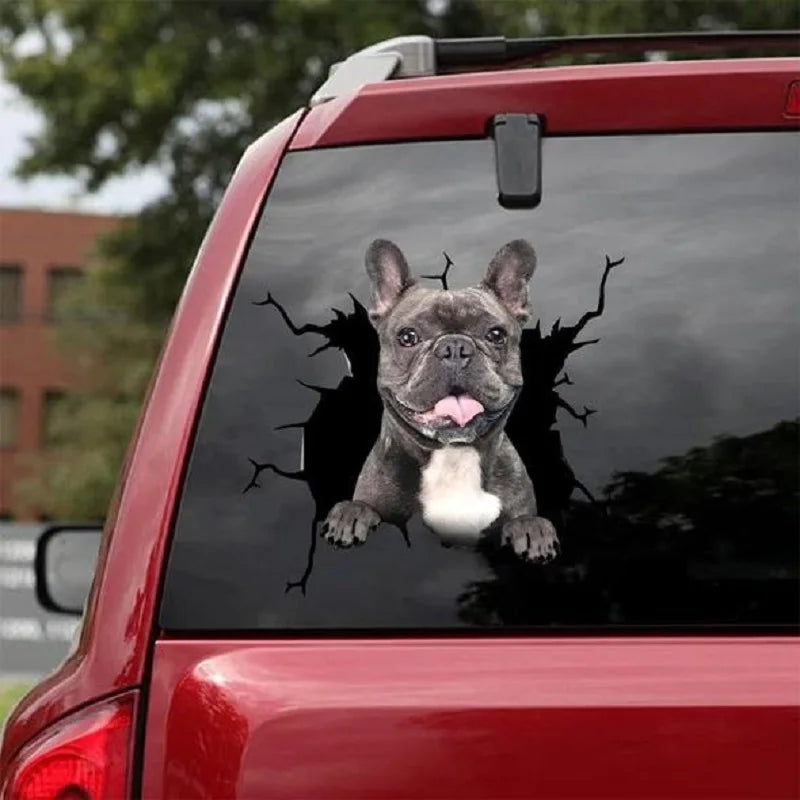 Funny Dog Windshield Stickers On Car Glass Camping Auto Decals Vehicle Exterior Window Decoration Girly Personalized Waterproof