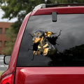 Funny Dog Windshield Stickers On Car Glass Camping Auto Decals Vehicle Exterior Window Decoration Girly Personalized Waterproof