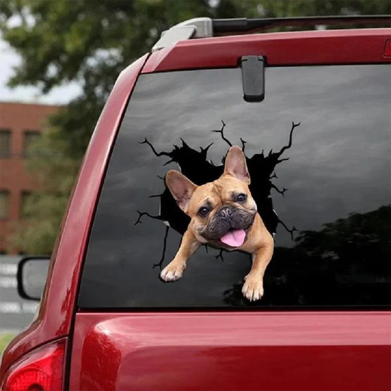 Funny Dog Windshield Stickers On Car Glass Camping Auto Decals Vehicle Exterior Window Decoration Girly Personalized Waterproof
