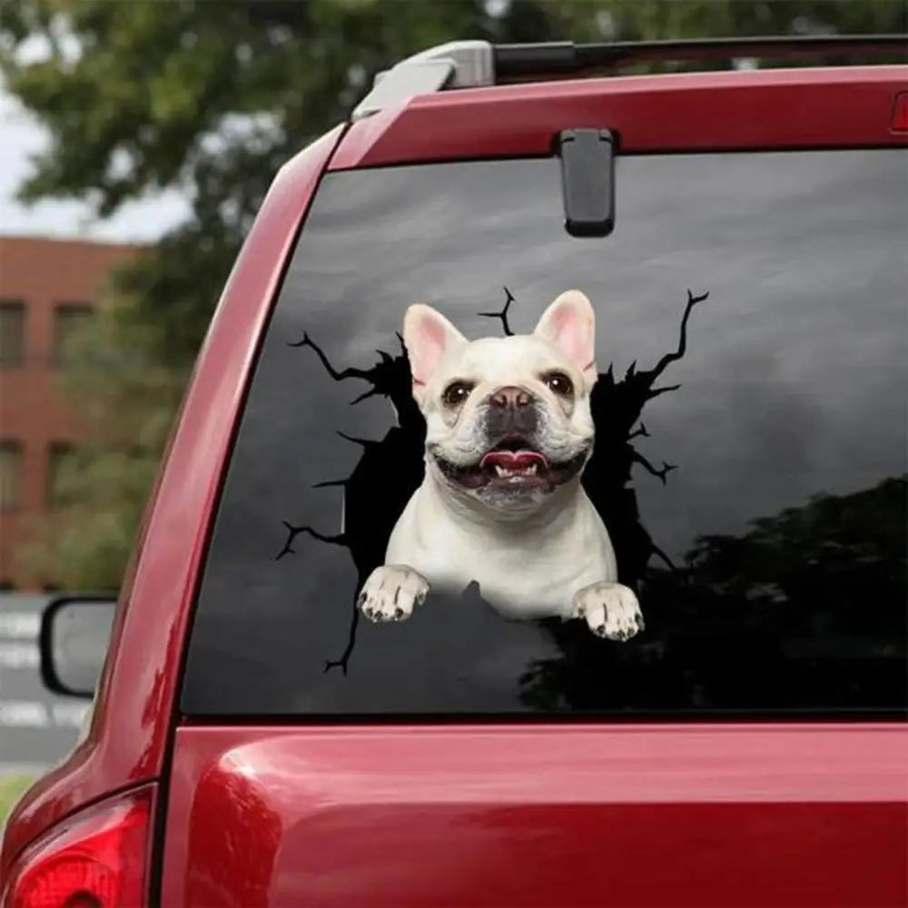 Funny Dog Windshield Stickers On Car Glass Camping Auto Decals Vehicle Exterior Window Decoration Girly Personalized Waterproof