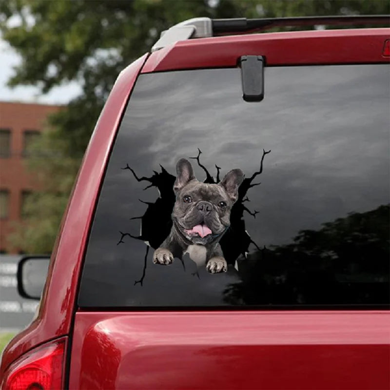 Funny Dog Windshield Stickers On Car Glass Camping Auto Decals Vehicle Exterior Window Decoration Girly Personalized Waterproof