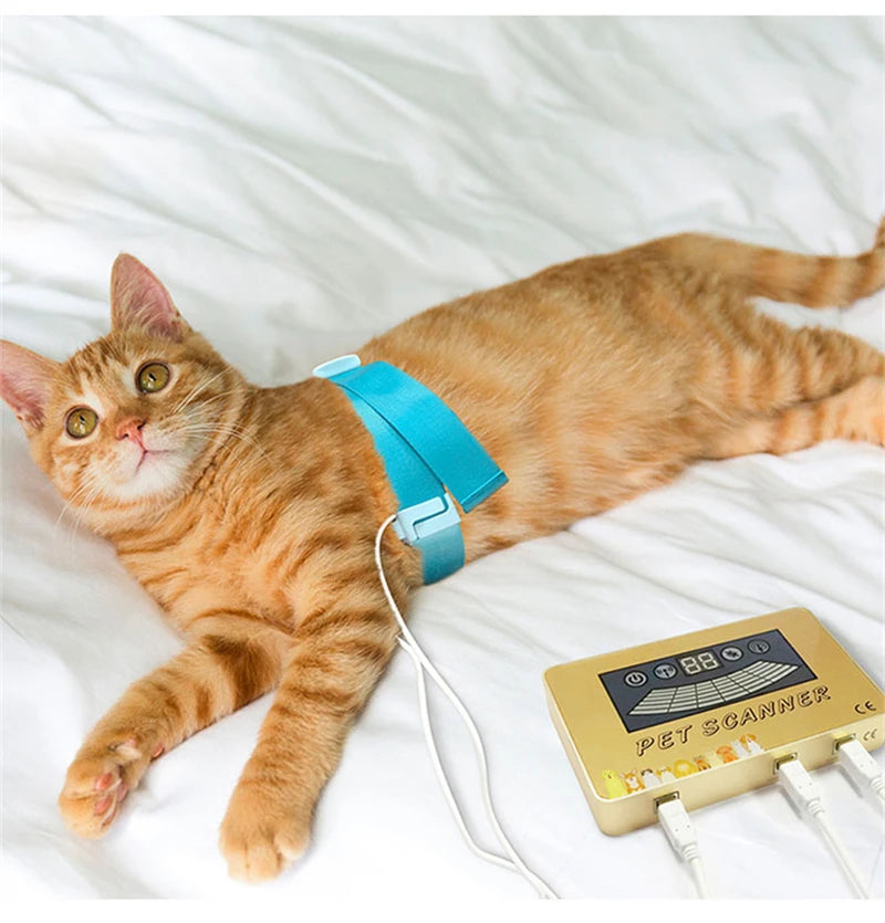 2025 Version Pet Quantum Resonance Magnetic Analyzer For Cat/Dog Body Checking Home Care Device