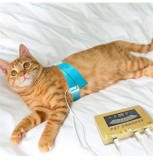2025 Version Pet Quantum Resonance Magnetic Analyzer For Cat/Dog Body Checking Home Care Device